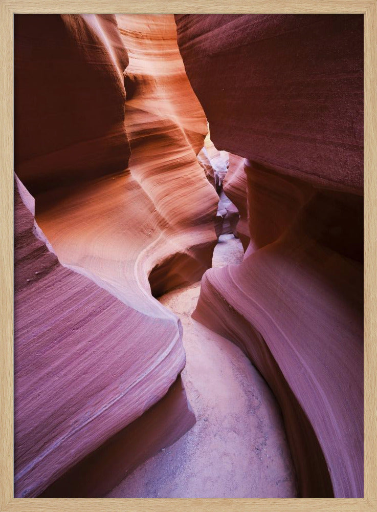 Paarse Canyon | Poster