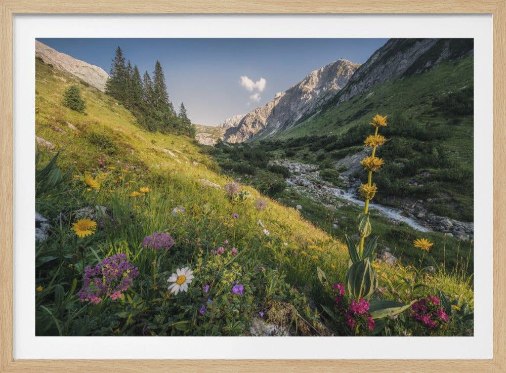 Tuin Eden | Poster