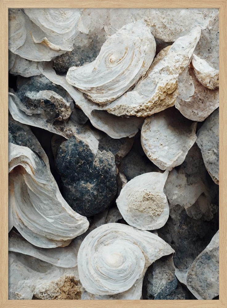 Schelpen en steen | Poster
