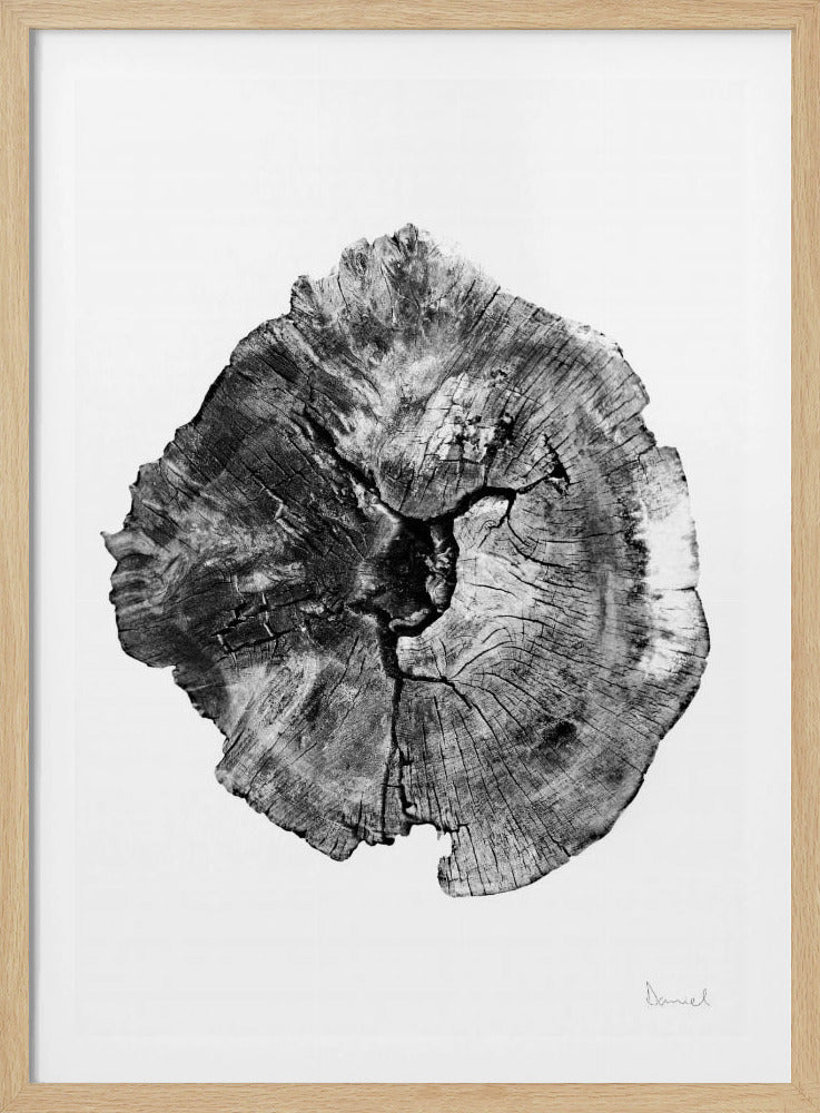 Eikenhouten blok | Poster