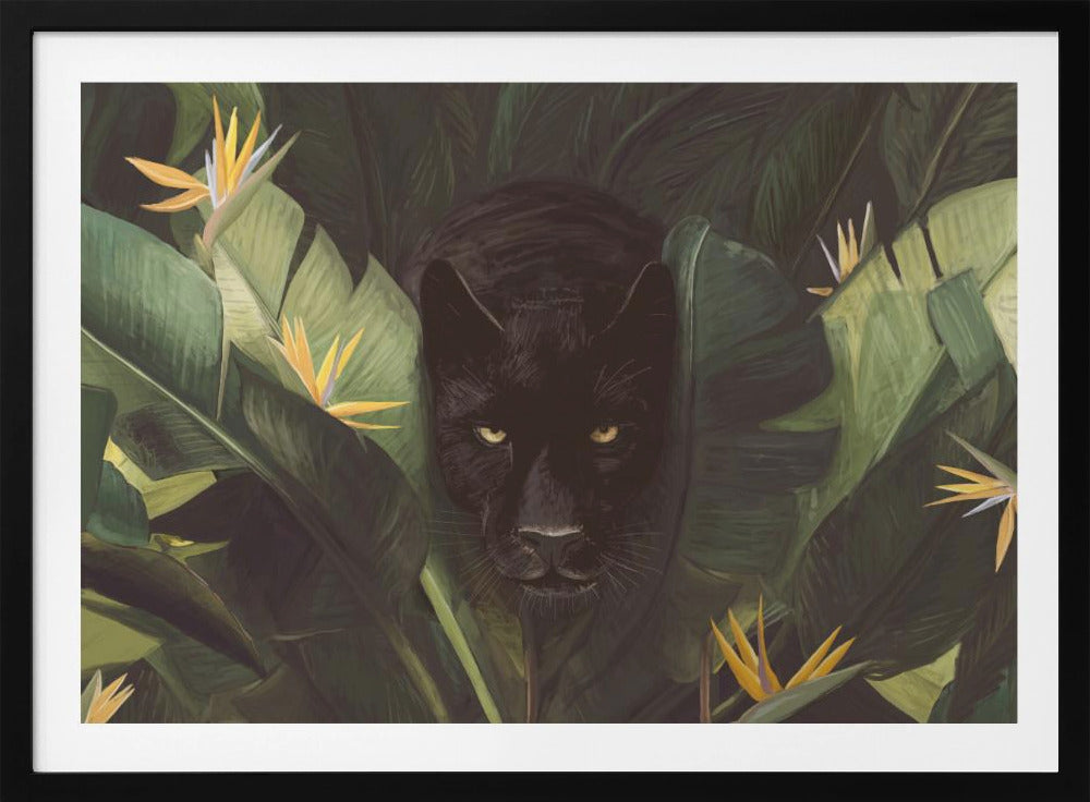 Hallo Panter | Poster