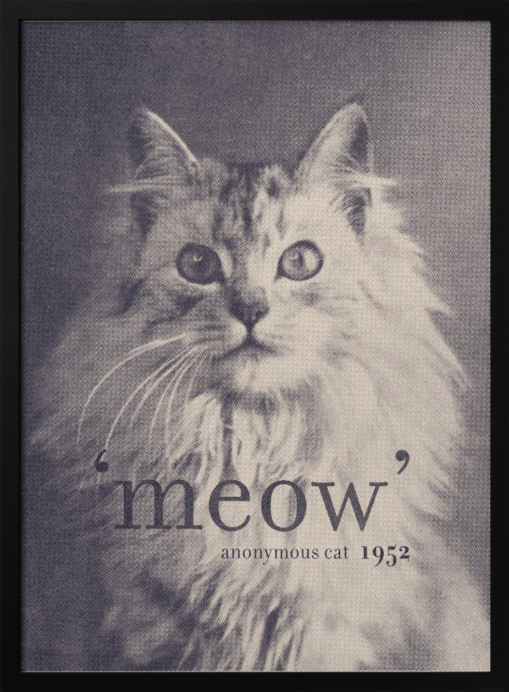 Beroemde Citaat Kat | Poster