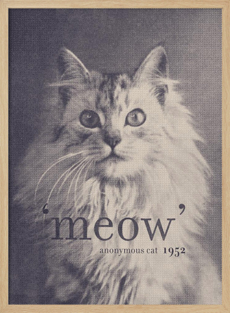 Beroemde Citaat Kat | Poster