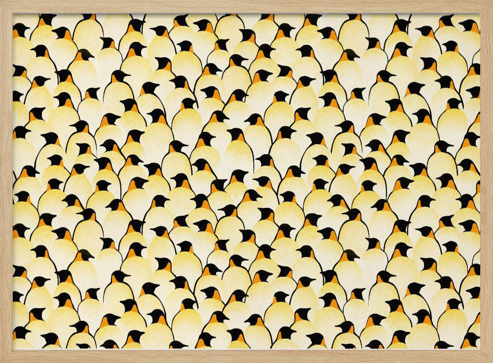 Pinguïns | Poster