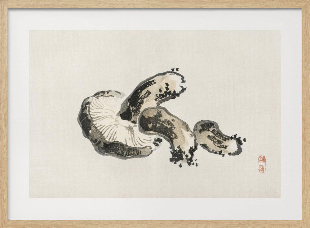 Shitake Mushroom | Poster