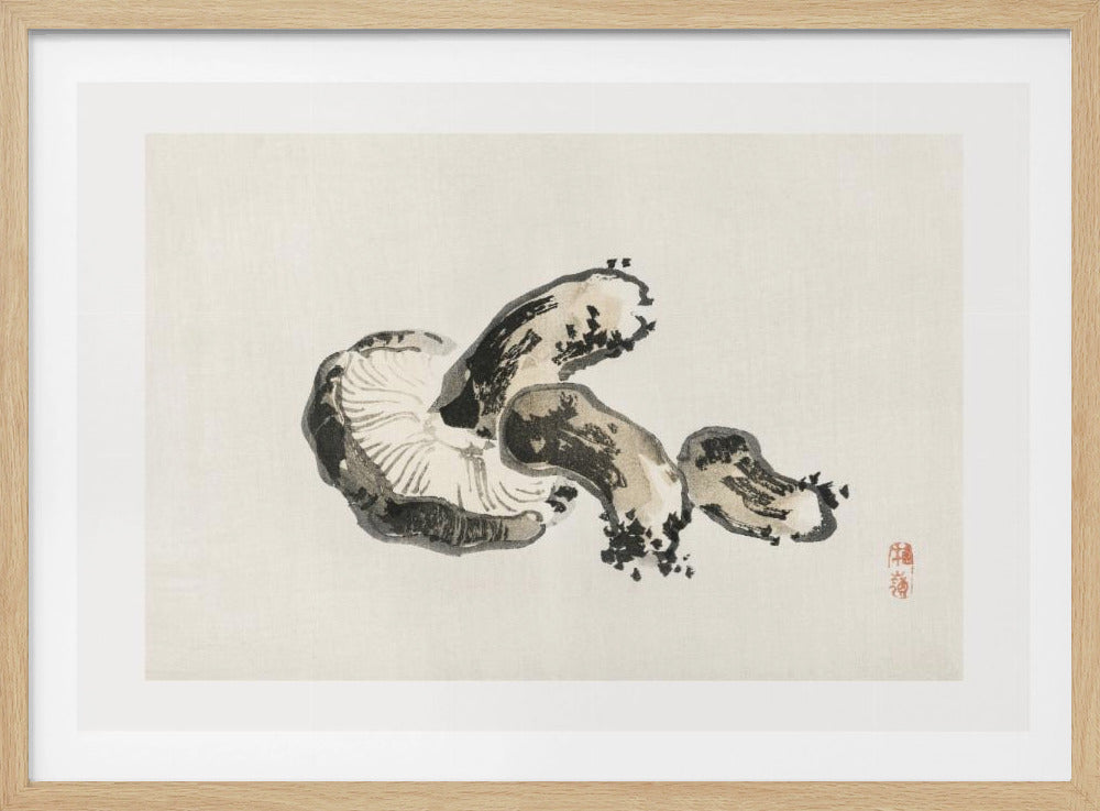 Shitake Mushroom | Poster