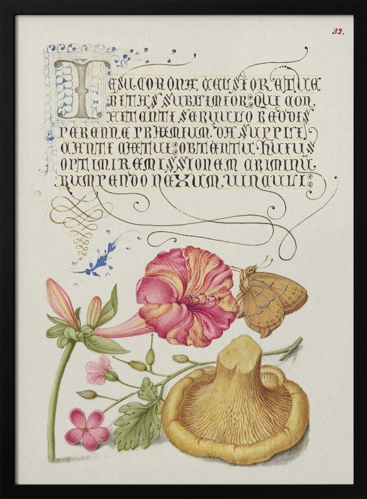 Mira Calligraphiae Monumenta | Poster