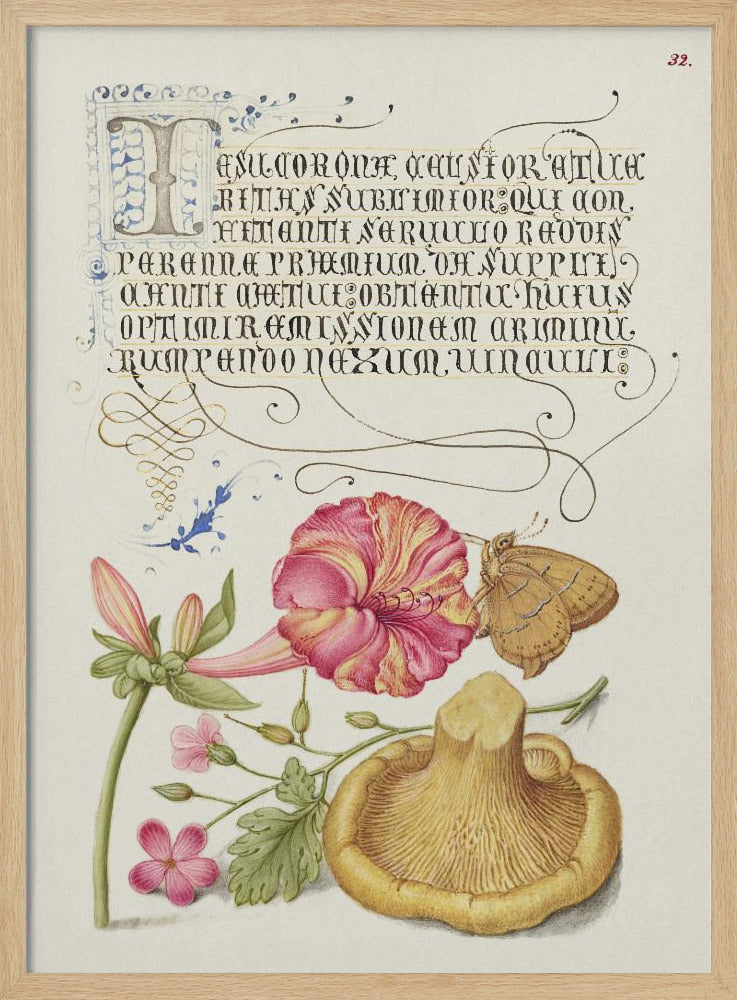 Mira Calligraphiae Monumenta | Poster