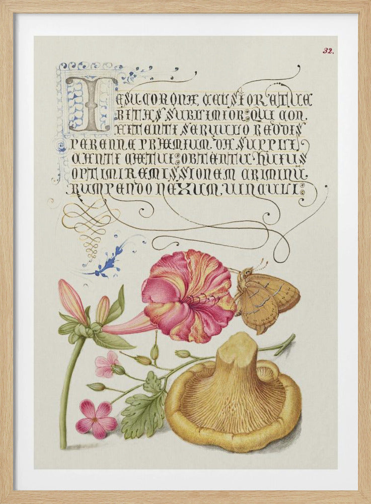 Mira Calligraphiae Monumenta | Poster