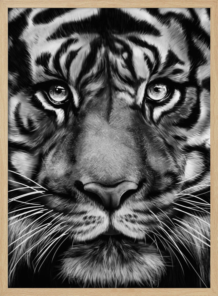 Tijger | Poster