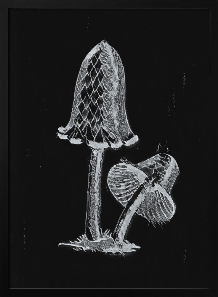 Vintage Inky Cap eetbare paddenstoel donker zwart-wit | Poster