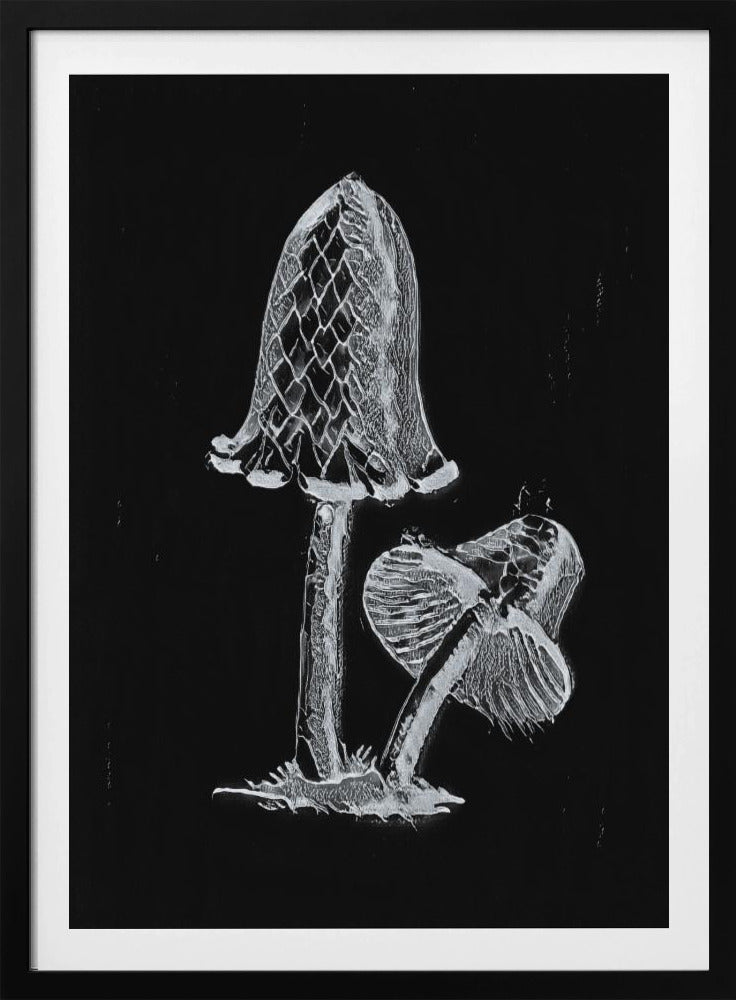Vintage Inky Cap eetbare paddenstoel donker zwart-wit | Poster