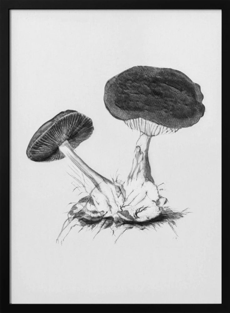 Vintage Violet Webcap Mushroom Helder Zwart | Poster