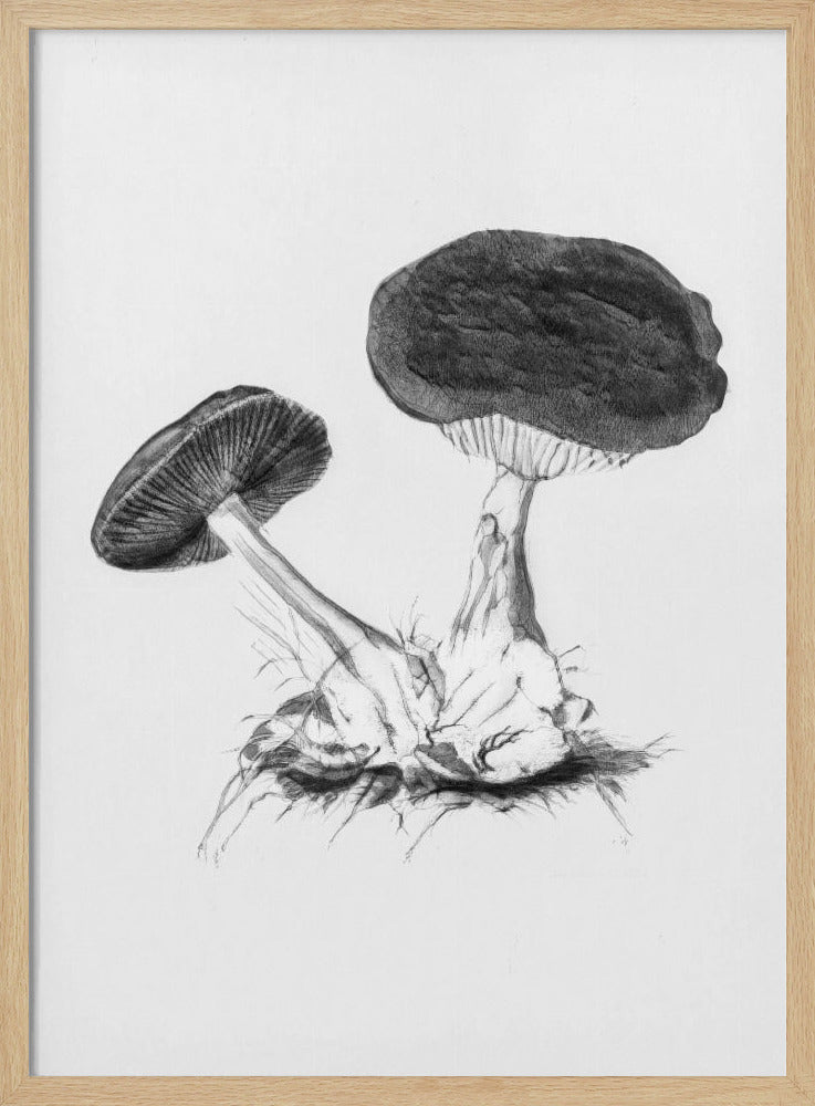 Vintage Violet Webcap Mushroom Helder Zwart | Poster