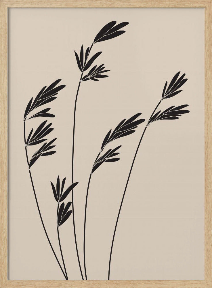 Zwarte planten | Poster