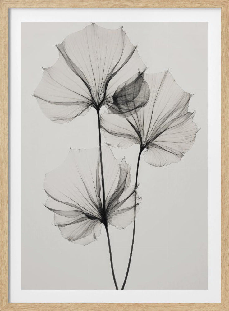 Transparent Botanic No 3 | Poster