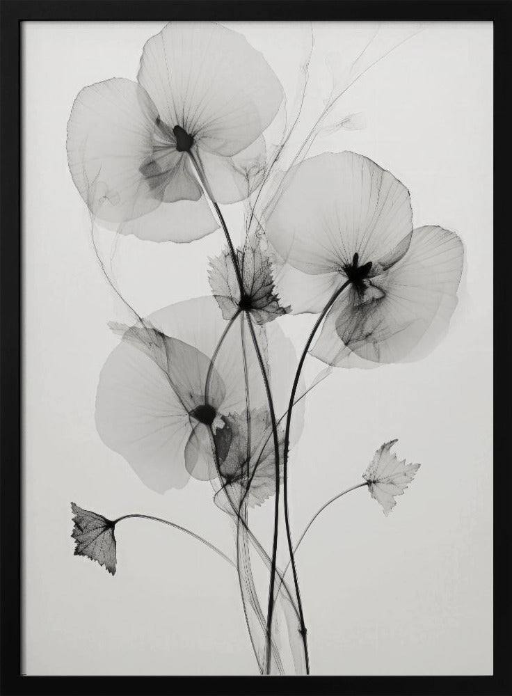 Transparante Botanic No1 | Poster