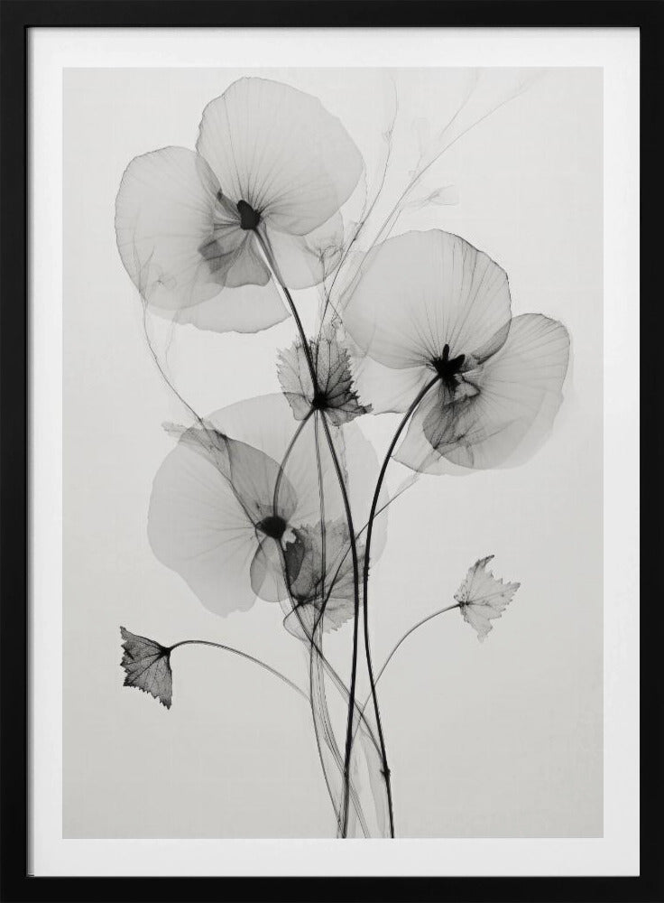 Transparante Botanic No1 | Poster