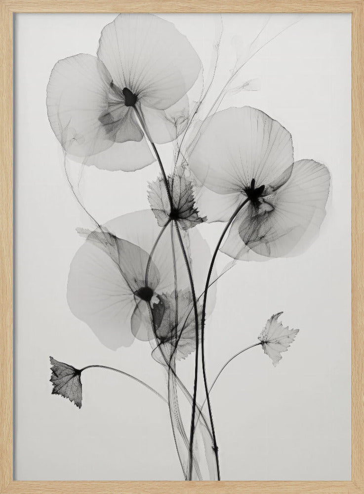 Transparante Botanic No1 | Poster