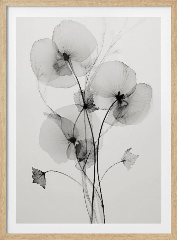 Transparante Botanic No1 | Poster