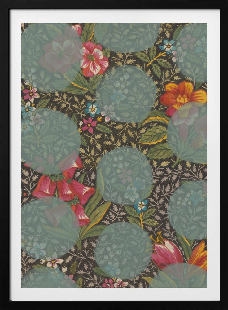 Colourful Flower | Poster