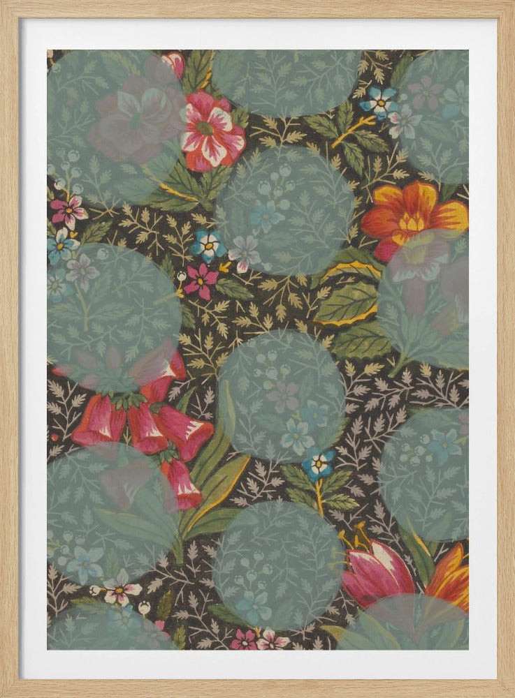 Colourful Flower | Poster