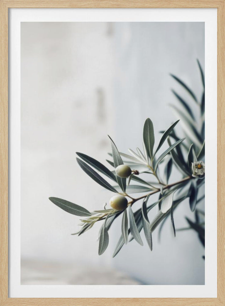Olijf Sereniteit | Poster