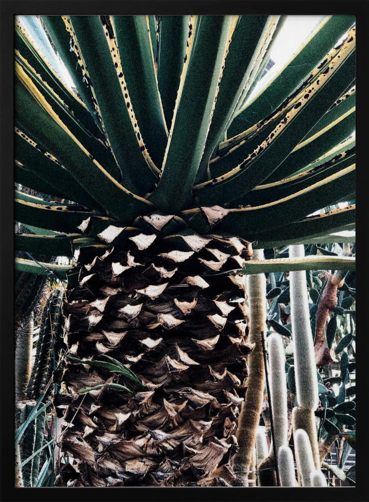 Cactusplant | Poster