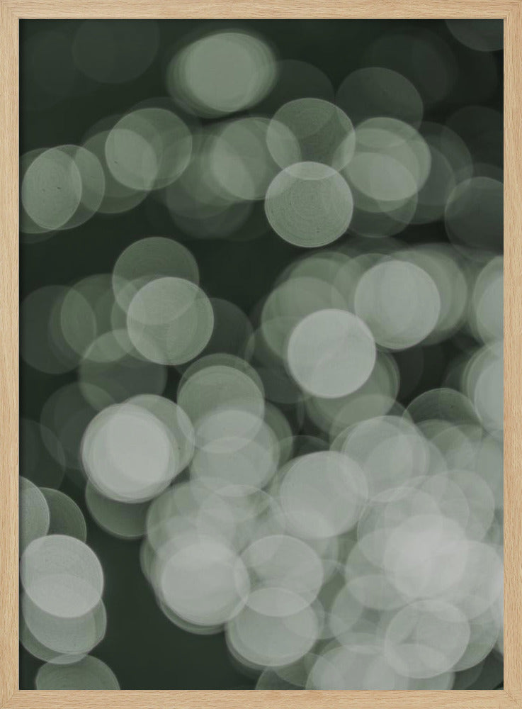 Lichtgevende fluisteringen | Poster