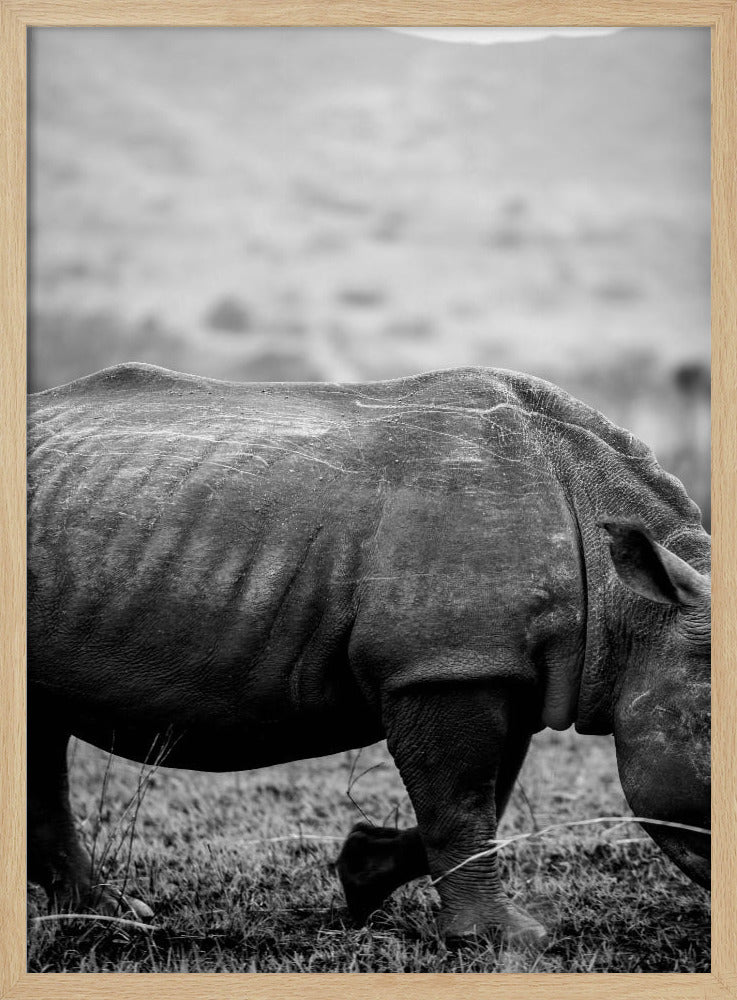 Zachte Reuzenwandeling | Poster