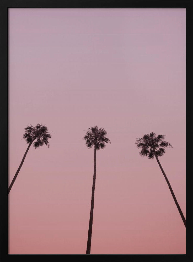 Roze Hemel Trio | Poster