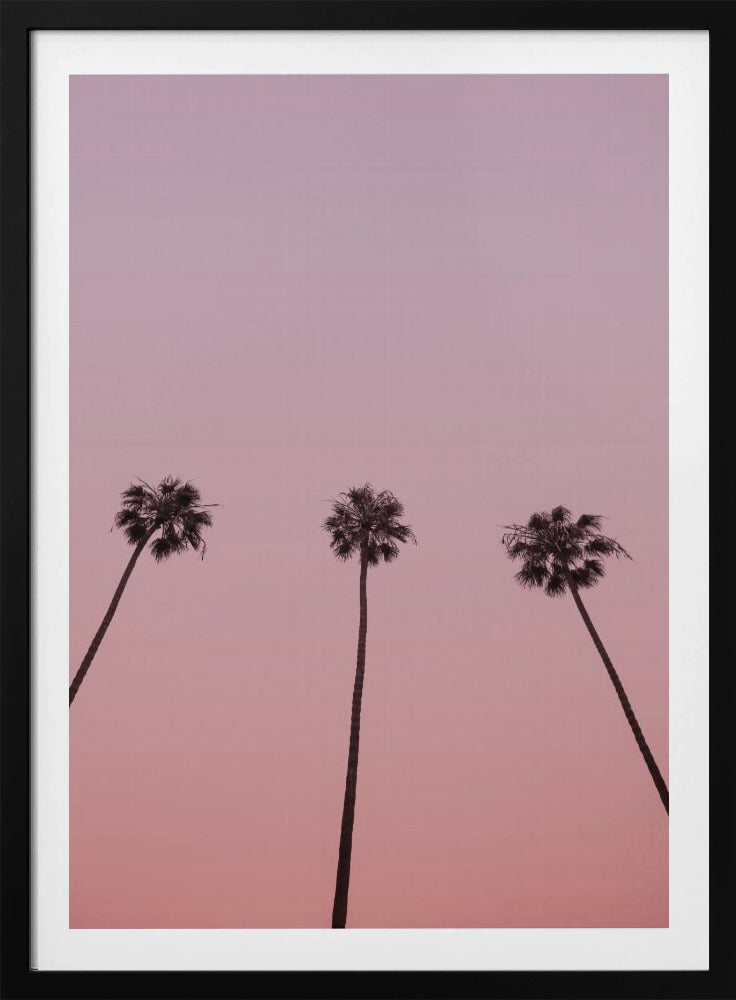 Roze Hemel Trio | Poster