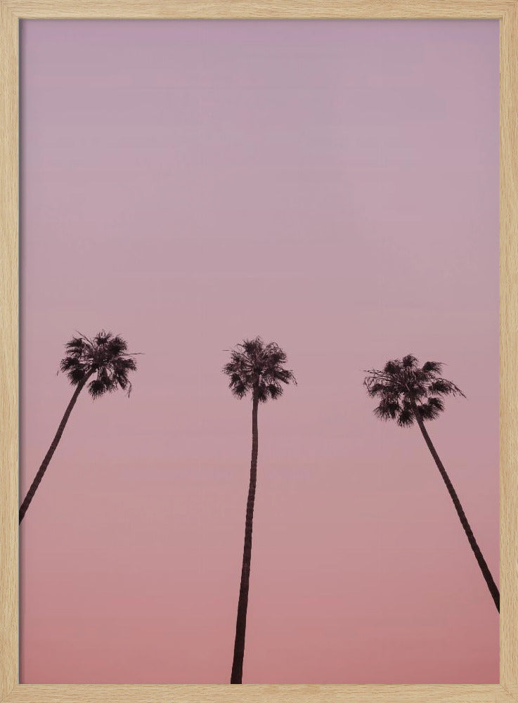 Roze Hemel Trio | Poster
