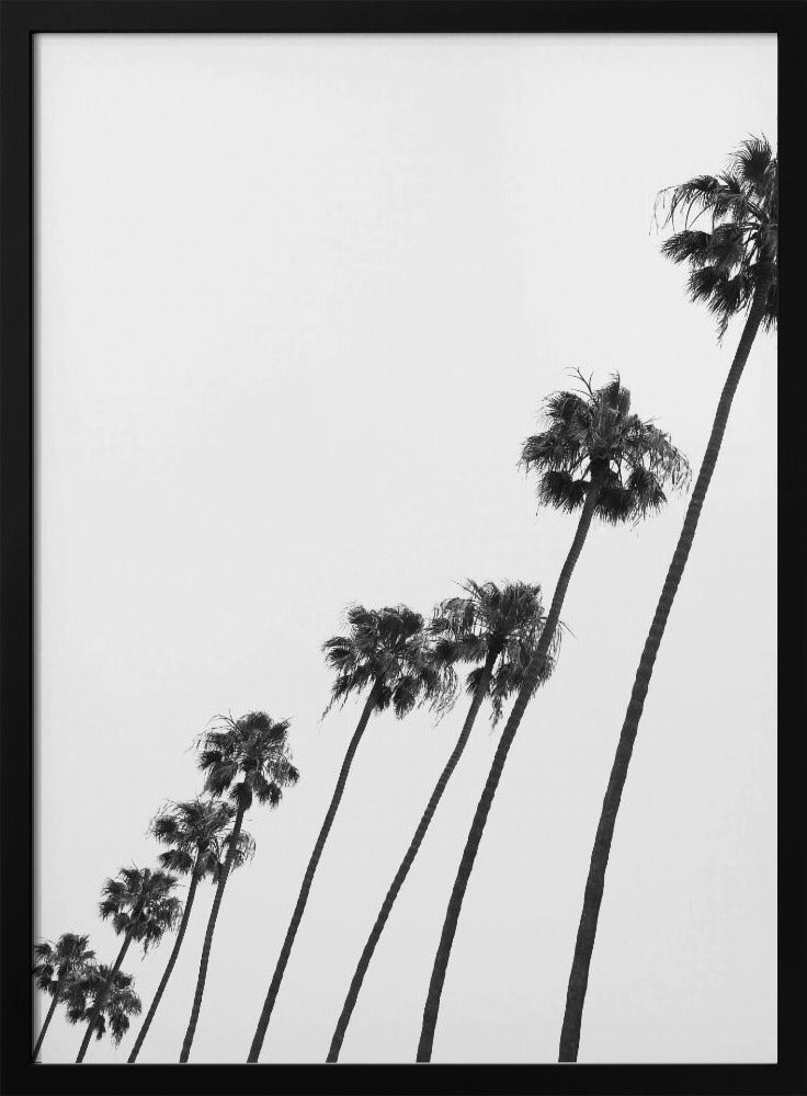 Hoge Palmenparade | Poster