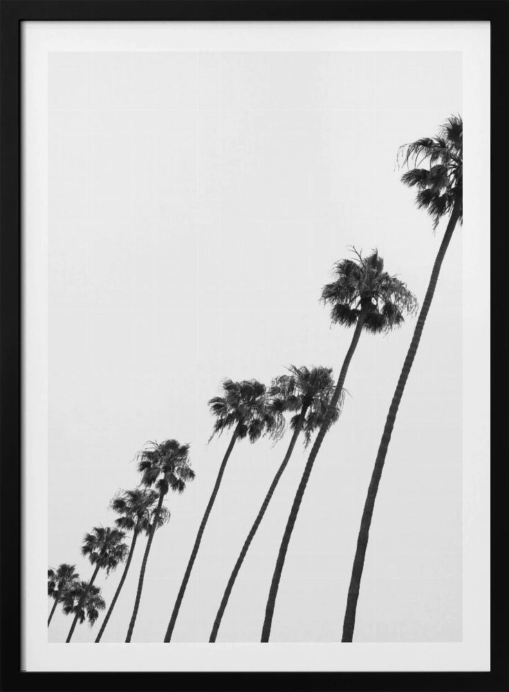 Hoge Palmenparade | Poster