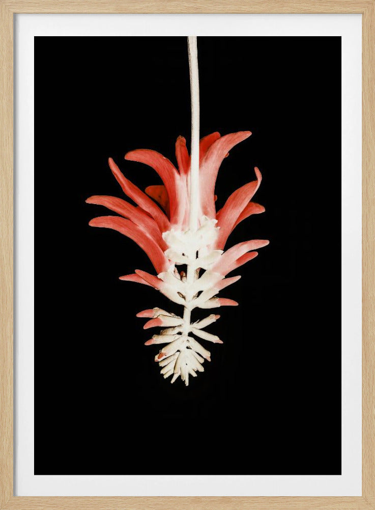 Bloembladskeletfusie | Poster