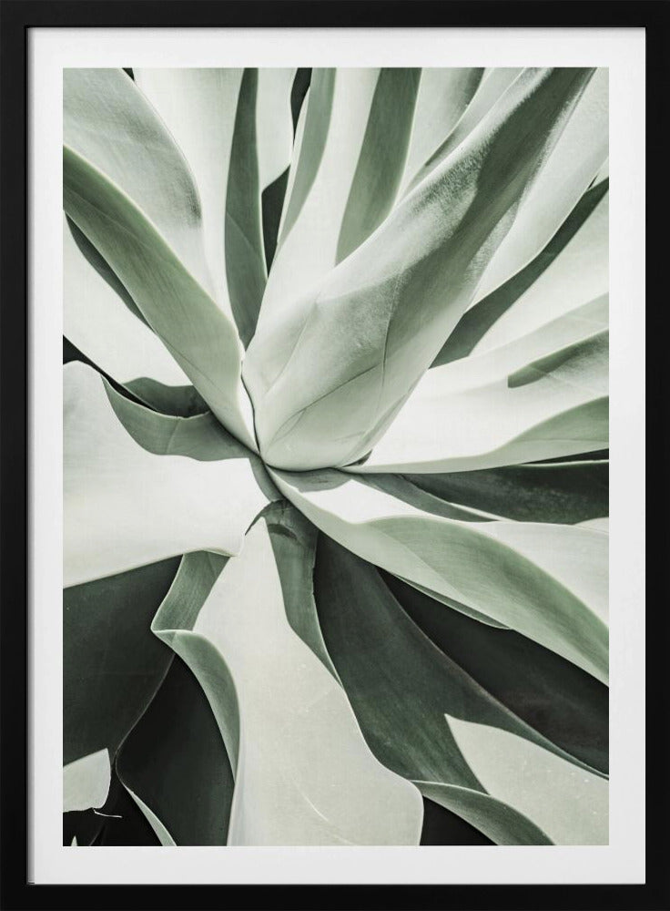 Sappige Harmonie | Poster