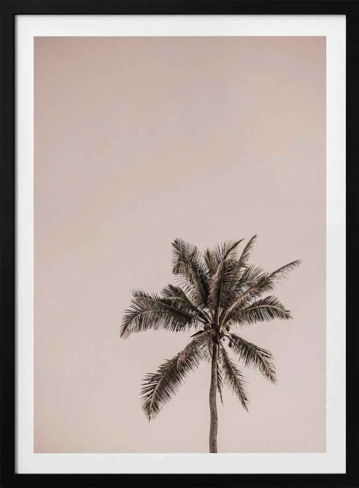 Roze Palm Serenity | Poster