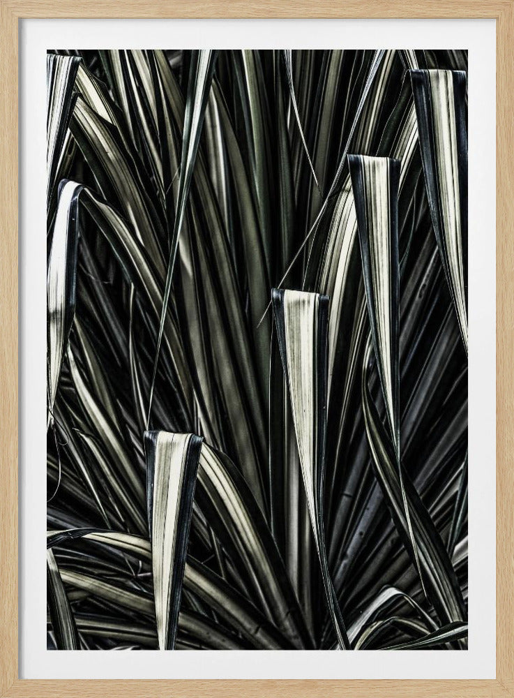 Groene Strepen | Poster