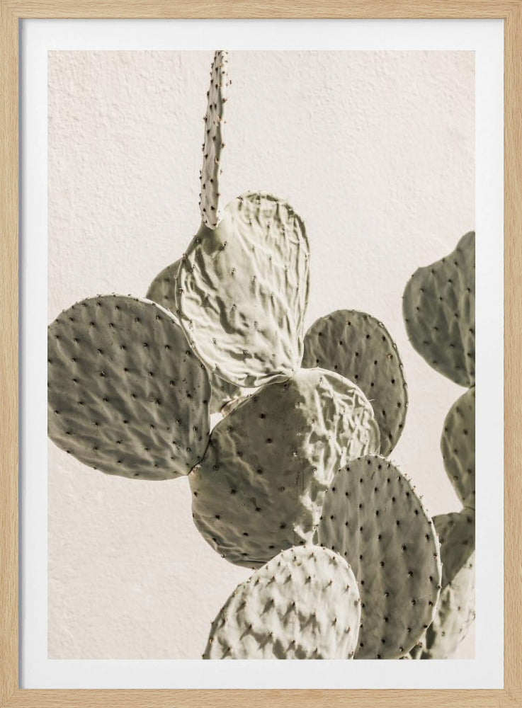 Stekelige Elegantie | Poster