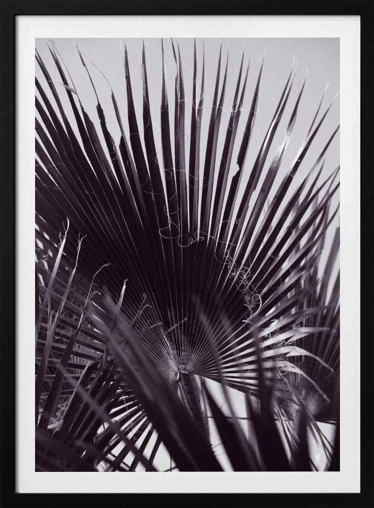 Palmgefluister | Poster