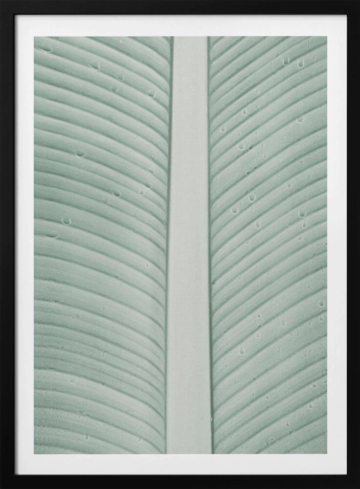 Tropische aderen | Poster
