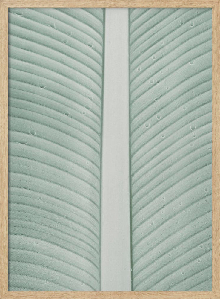 Tropische aderen | Poster
