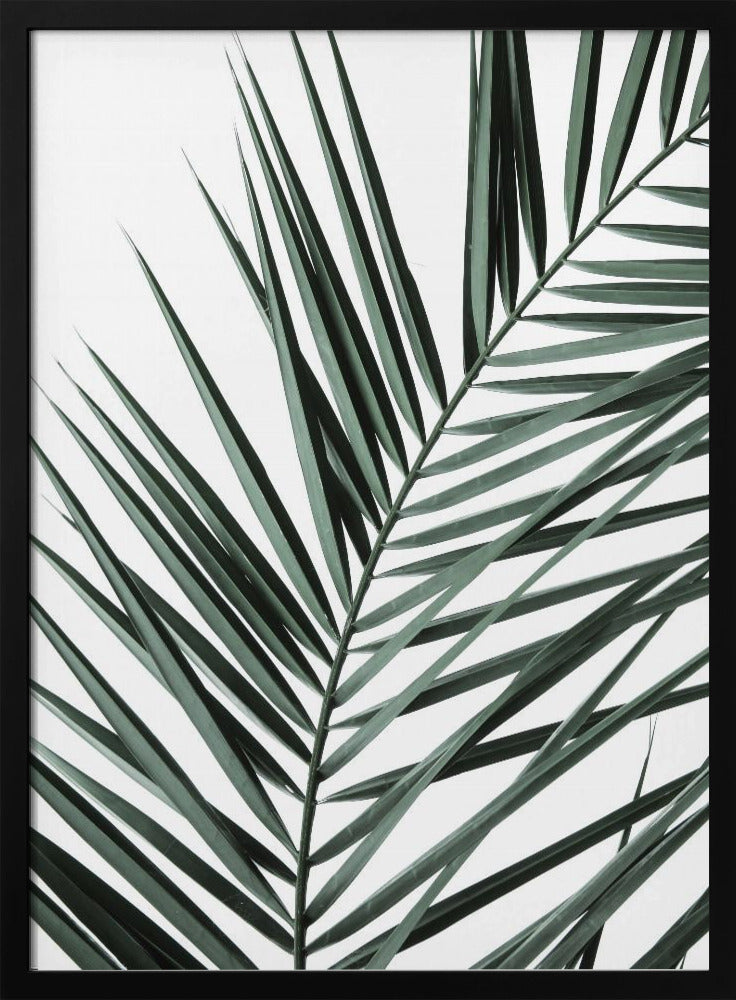 Bladrijke elegantie | Poster