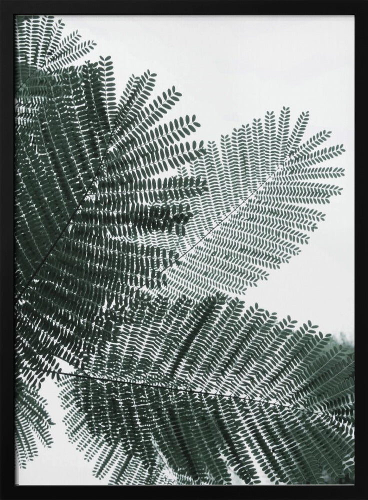 Fluisterende varen | Poster