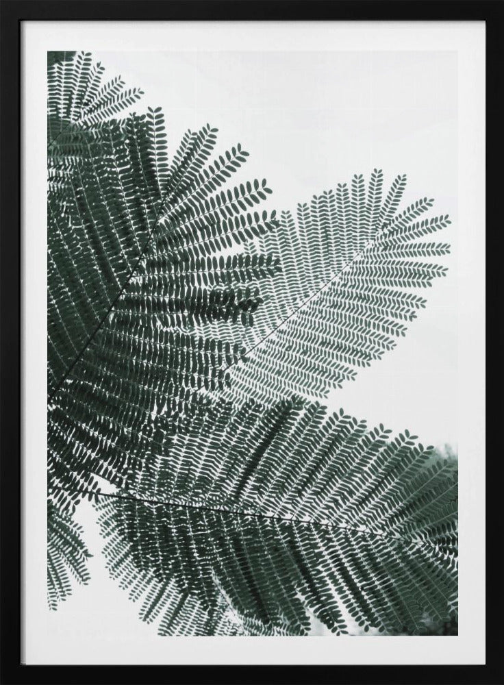 Fluisterende varen | Poster