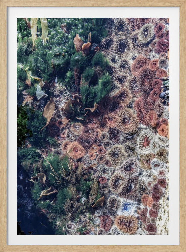 Ocean&#039;s Tapestry | Poster