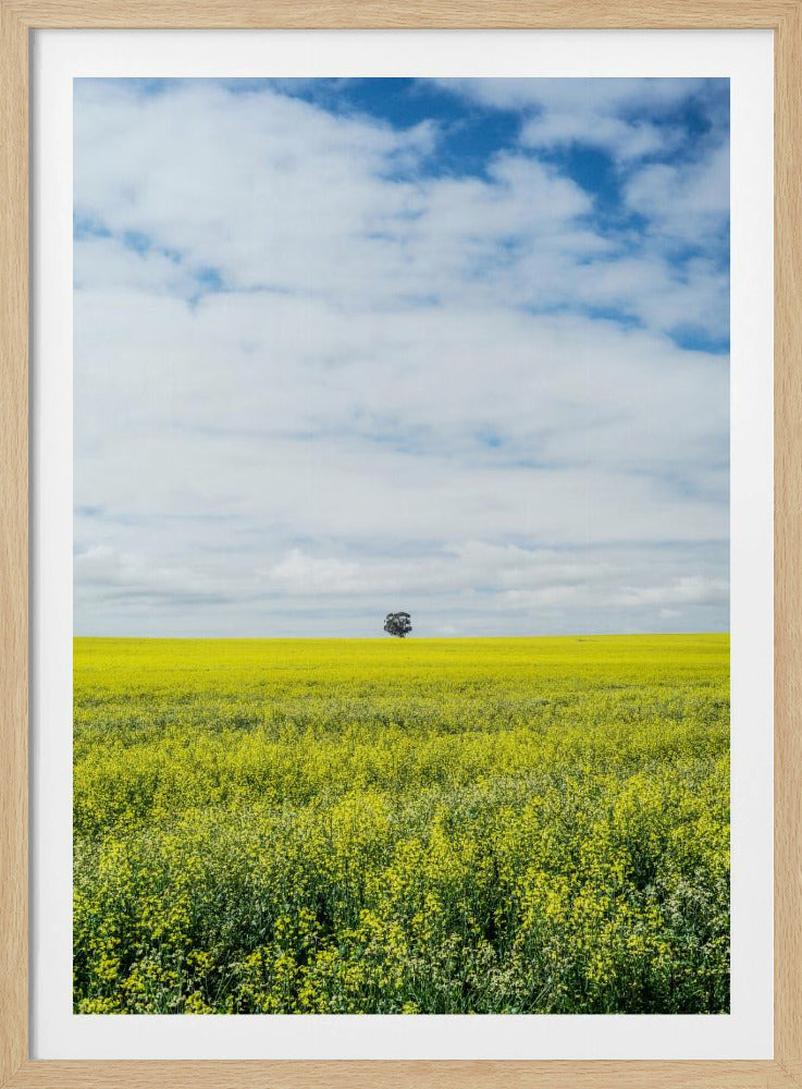 Eenzame boomhorizon | Poster