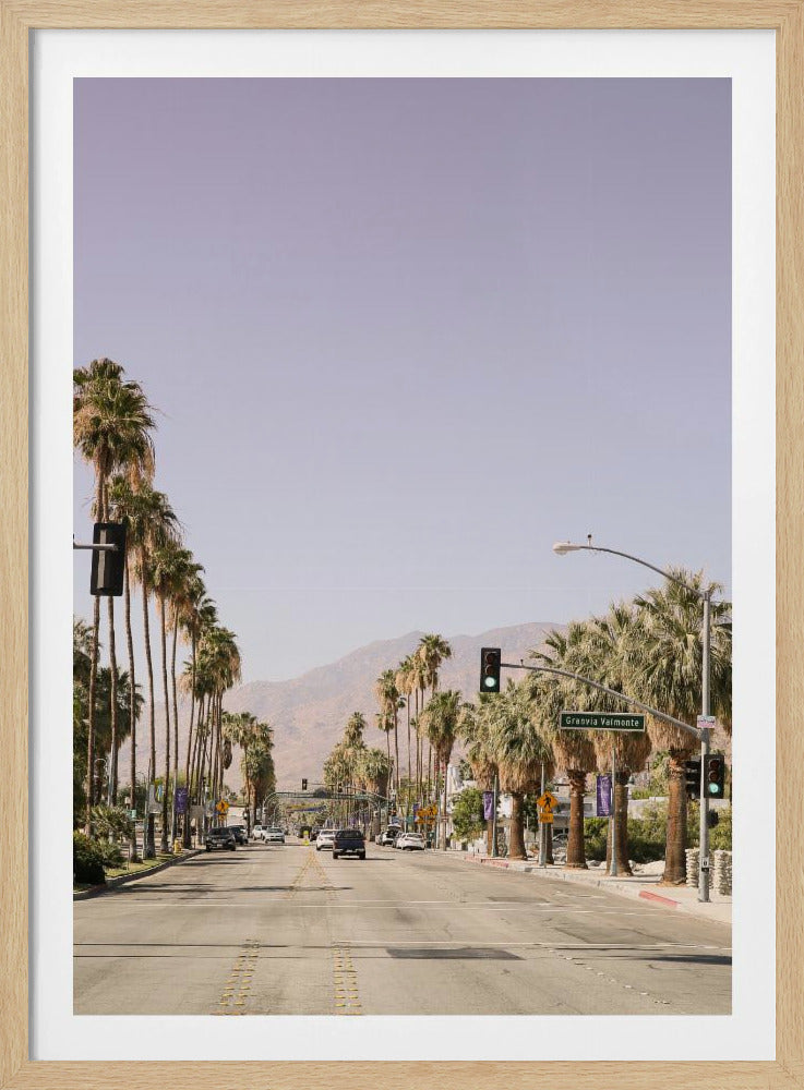 Laan met palmbomen | Poster