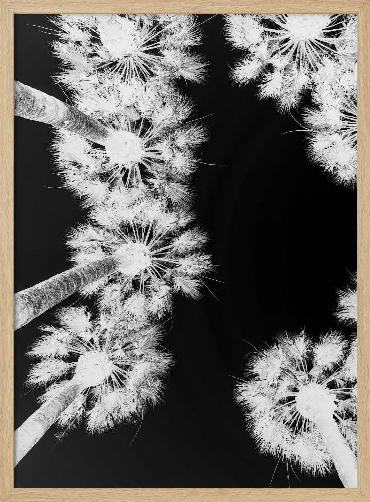 Inverted Palmscape | Poster